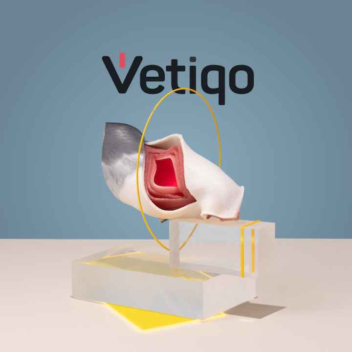 Teaser: Vetiqo CI & Shop